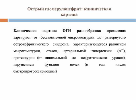 Диагностика гломерулонефритов - online presentation Картинка - Диагностика гломерулонефритов - online presentation