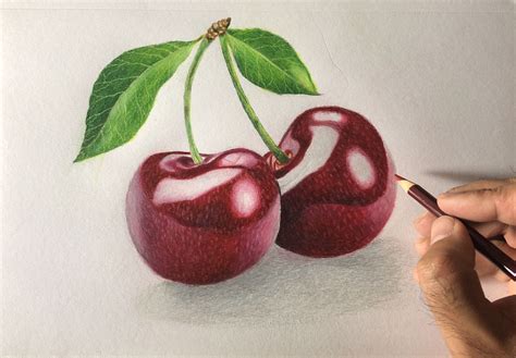 Cherries Drawing Cherry Drawing Fruit Art Drawings Fruits Drawing