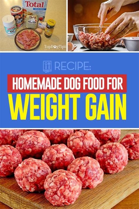 Homemade Dog Food For Weight Gain Recipe Satin Balls Recipe