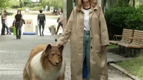 「クールだと思う」 本物そっくりのスーツで犬になりきる日本人に世界が注目｜pen online