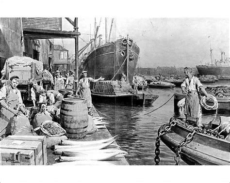 Prints Of Unloading Ships At London Docks 1908 Old Photos London