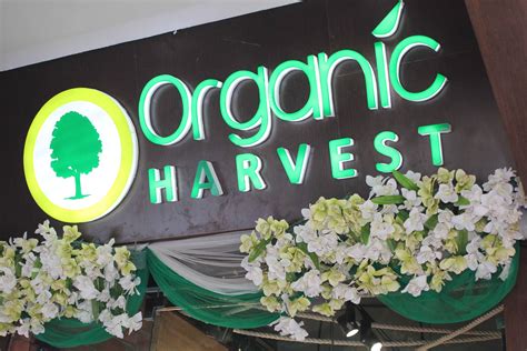 Organic Harvest Store Launch