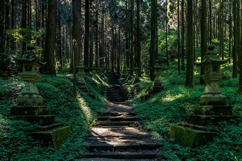 Fotos Gratis Japón Santuario Verde Escalera Naturaleza