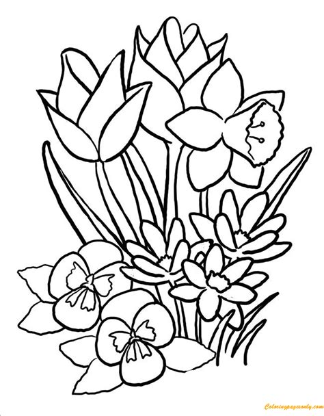 Spring Blooms Coloring Pages Free Printable Coloring Pages