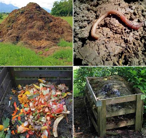 What Is Compost Types Of Compost Compost Methods Agri Farming