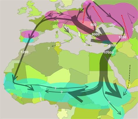 Main Migratory Routes Of European Black Storks Based On Literature