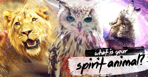 Whats Your Spirit Animal Playbuzz