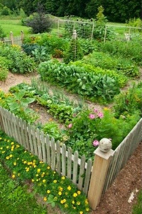 Best Diy Cottage Garden Ideas From Pinterest 44 Garden Layout