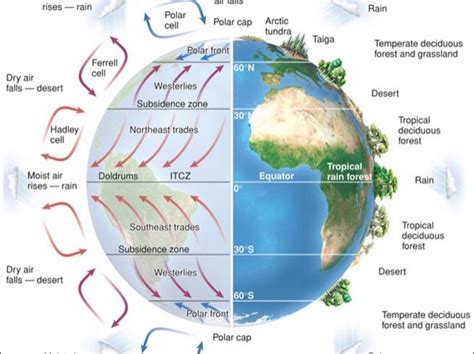 Gcse Geog Geographical Skills Climate Graphs Teaching Resources
