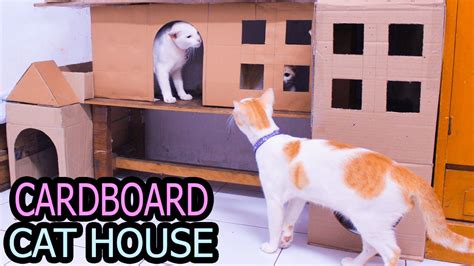 55 desain tempat tidur kucing diy unik dari kayu kardus kain bekas. Cara Membuat Rumah Kucing Dari Kardus | Cardboard Cat ...