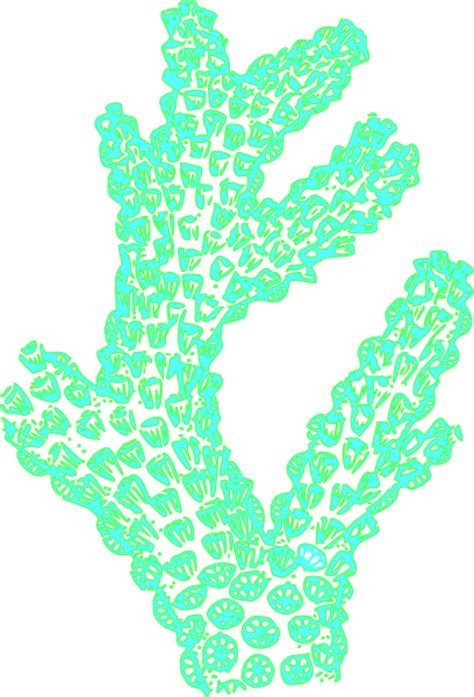 Coral Clip Art At Vector Clip Art Online
