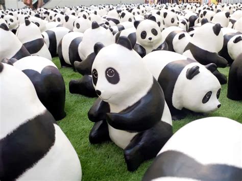 Take A Peek Inside The New Panda Exhibit At Metropolis At Metrotown