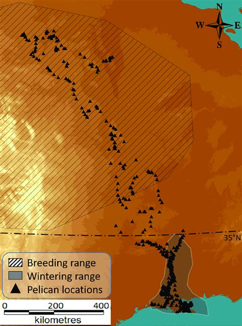 Map Showing The Geographical Context Of The Study System The Breeding