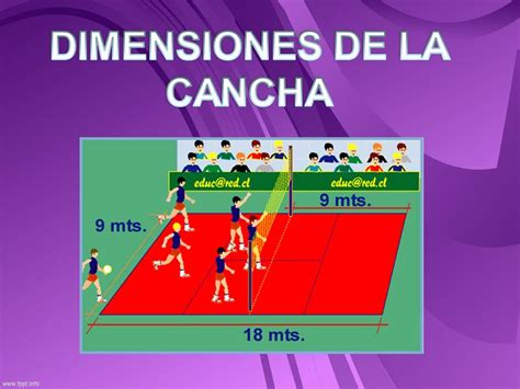 Volleyball Dimensiones De La Cancha Numero De Jugadores Y Rotacion
