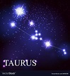 Taurus zodiac sign of the beautiful bright stars Vector Image