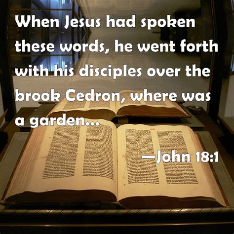 John 181 When Jesus Had Spoken These Words He Went Forth With His