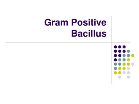 Ppt Gram Positive Bacillus Powerpoint Presentation Free Download