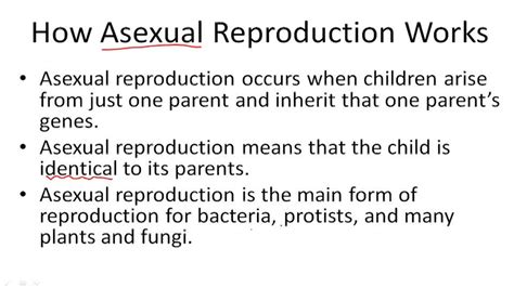 Reproduction Example 2 Video Biology Ck 12 Foundation