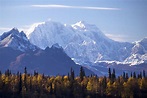 Denali National Park and Preserve: The Complete Guide