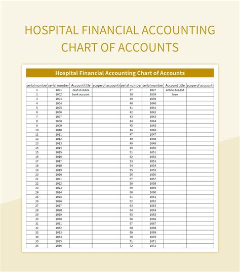 Hospital Financial Accounting Chart Of Accounts Excel Template And