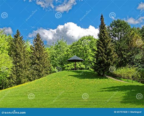 Green Spring Landscape With Bench Under Sun Umbrella Idyll Stock Photo