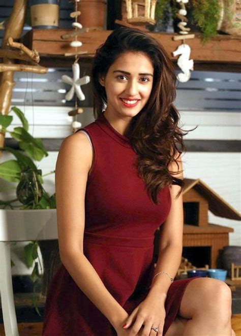 Disha Patani Pictures That Are Sizzling And Too Hot To Handle Bloggersstand