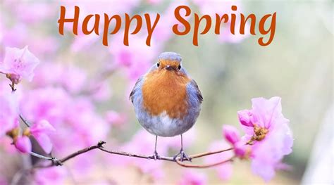 Happy Spring Day Wallpapers Wallpaper Cave