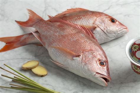 7 Amazing Do It Yourself Red Snapper Recipes
