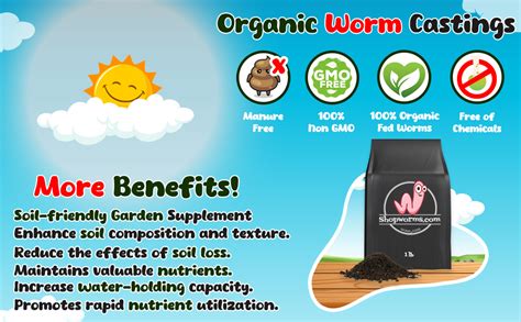 Wwjd Worms Organic Worm Castings For Gardening 5 Lb