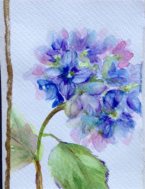 Watercolor Hydrangea By Laura Kirste Campbell Watercolor Hydrangea