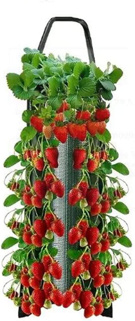 Gardens Hanging Planter Large Upside Down Strawberry Planter Growing