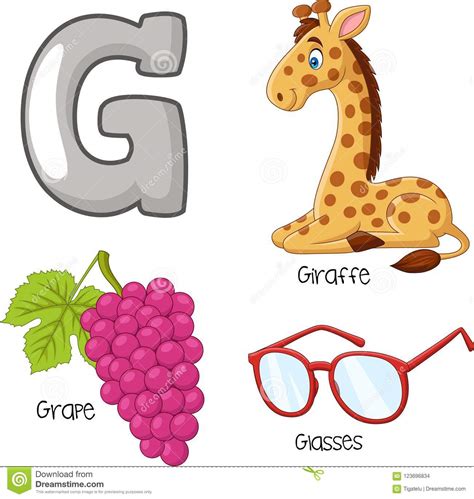 Cartoon G Alphabet Stock Vector Illustration Of Grape 123696834