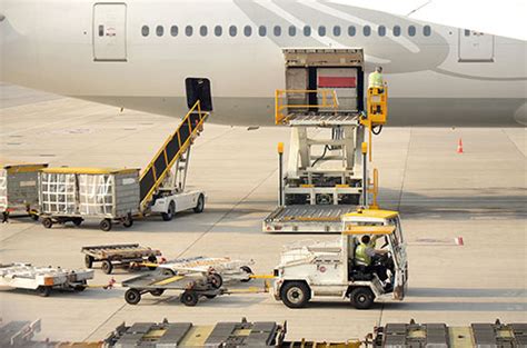 How do i ship fresh flowers for shipping? Commercial Invoice, Packing List, and DGD Forms ...