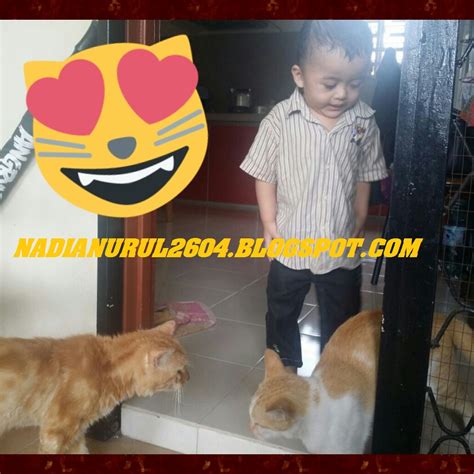 Anakku Pencinta Kucing Lady Nadia Malaysian Blogger