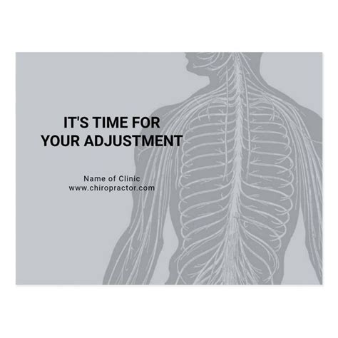 Chiropractor Appointment Reminder Modern Anatomy Postcard Zazzle Postcard Appointments