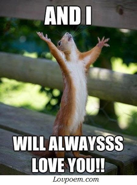 60 Cute Memes To Make Her Smile And Funny Photos Squirrel Memes Cute Squirrel Squirrels
