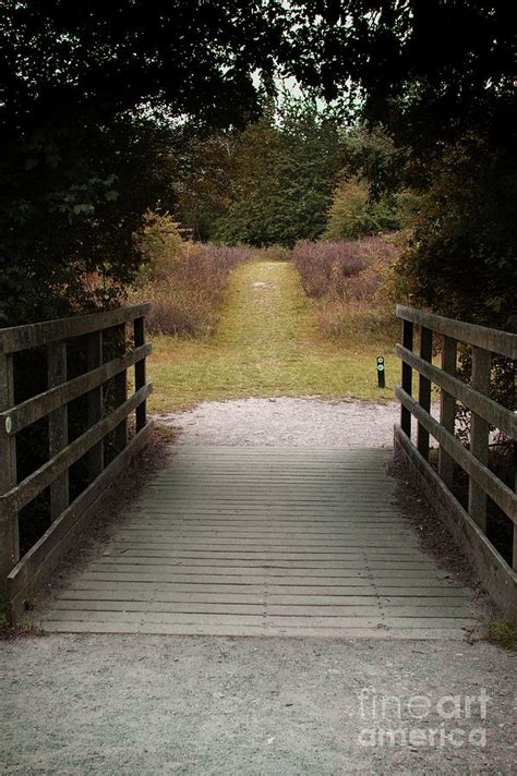 A Woodland Footbridge Photograph By Tom Gowanlock Pixels