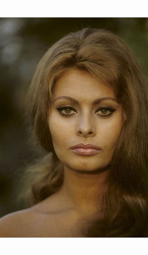 Sophia Loren Wikipedia Hollywood Glamour Hollywood Stars Old