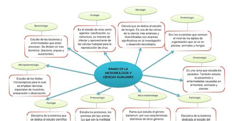 32 Un Mapa Conceptual De Las Ciencias Auxiliares Background Nietma