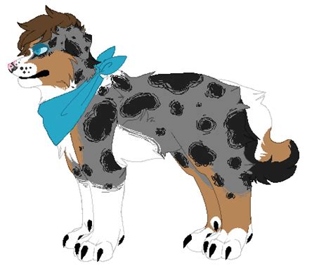 Australian Shepherd By Owlbean On Deviantart