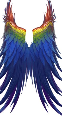 Image Rainbow Icarus Wingspng Vampire Wars Wiki Fandom Powered