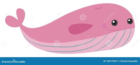 Cute Pink Whale Illustration Vector Stock Vector Illustration Of