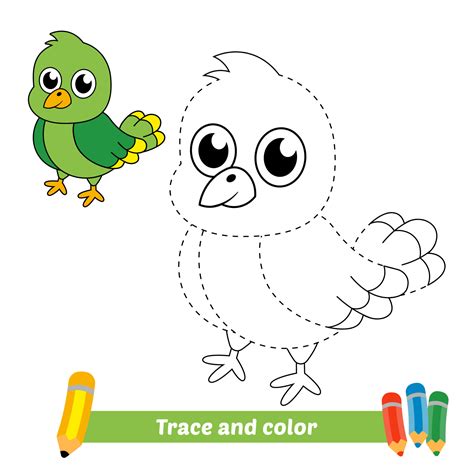 Trace And Color For Kids Bird Vector 5176034 Vector Art At Vecteezy