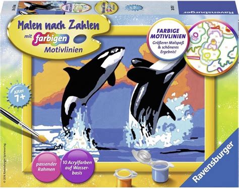 I have a passion for whales i've shared with my family my whole life. Ravensburger Malen nach Zahlen, »Verspielte Orcas« | OTTO