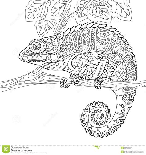 Zentangle Stylized Chameleon Stock Vector Illustration Of Cartoon