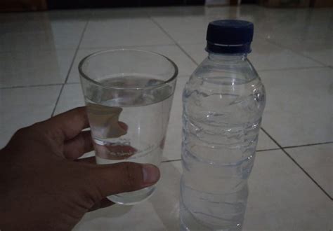 Www.radiantpeach.com)]/captionair merupakan kebutuhan dasar manusia dan memiliki pr. Berapa Liter Minum Air Putih Dalam Sehari - Seputar Minuman