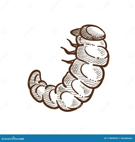Larva Harmful Insect Monochrome Outline Sketch Vector Illustration