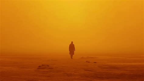 Hd Blade Runner 2049 Hd Movies 4k Wallpapers Images Backgrounds