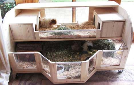Top Of Build Your Own Guinea Pig Hutch Shopblacklabel