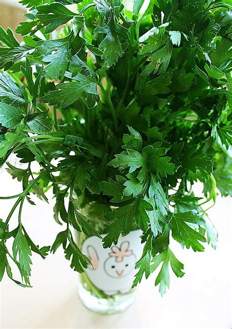 How To Store And Freeze Fresh Herbs The Comfort Of Cooking